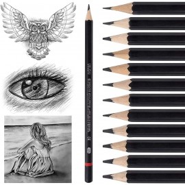 Crayons à dessin 12 crayons à dessin graphite 8B-2H crayons à dessin professionnels pour débutants enfants ou artistes B093PYTM73